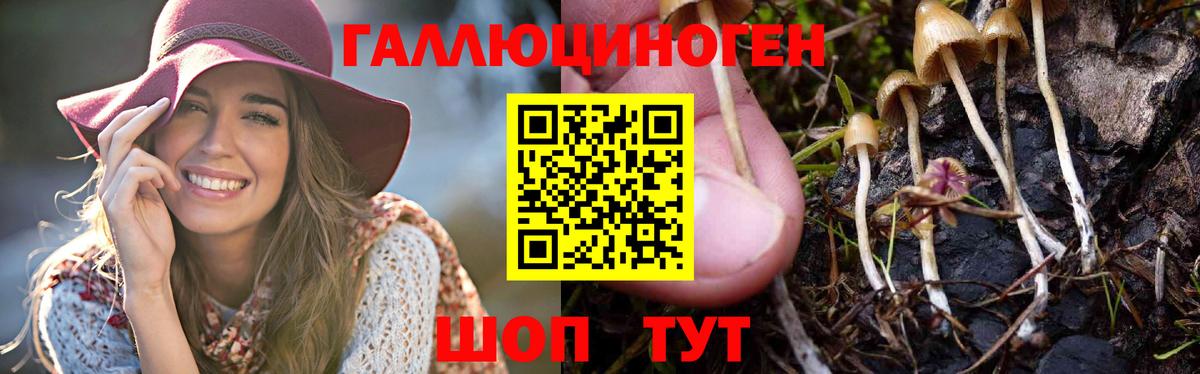 где найти   Галлюциногенные грибы мицелий  Вход с VPN  Мирный 